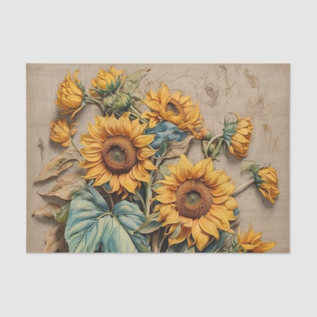 Papel De Seda Una colección de girasoles y capuchas antiguas (Anverso)
