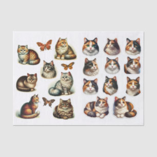 Papel De Seda Una colección de recortes delicados con gatos cali