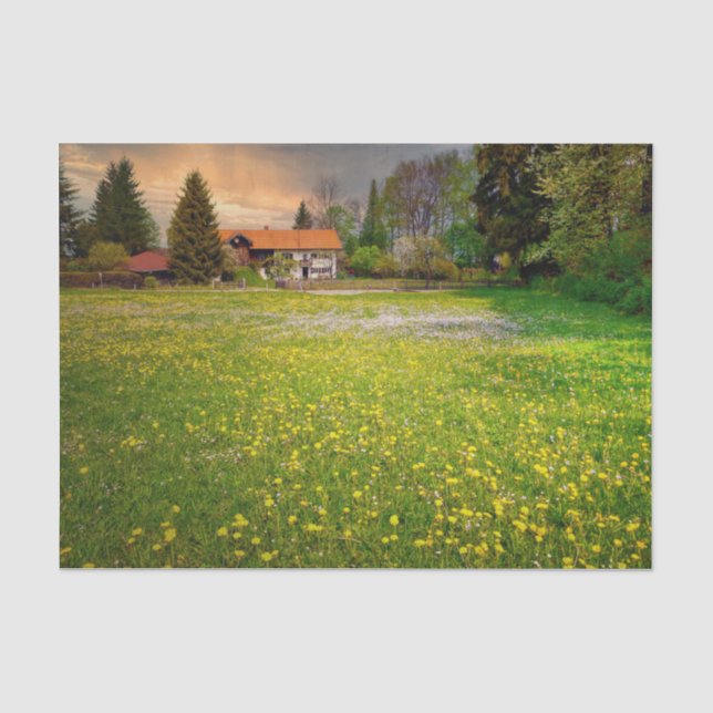 Papel De Seda Una granja al atardecer con un campo de flores bla (Anverso)