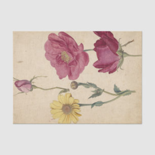 Papel De Seda Una hoja de estudios con rosas francesas de de Mor