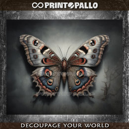 Papel De Seda Una mariposa de polilla nocturna, como tus pensami