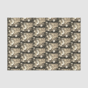 Papel De Seda Una olla azul y blanca de margaritas salvajes en u