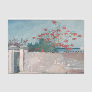 Papel De Seda Una pared, Nassau de Winslow Homer