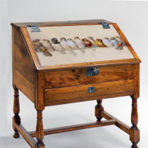 Una percha de aves (1880) de Hector Giacomelli