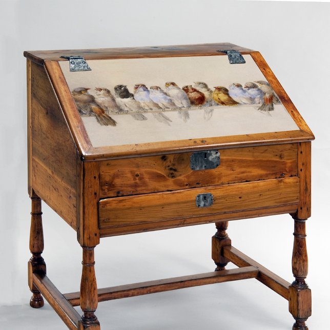 Papel De Seda Una percha de aves (1880) de Hector Giacomelli (Subido por el creador)