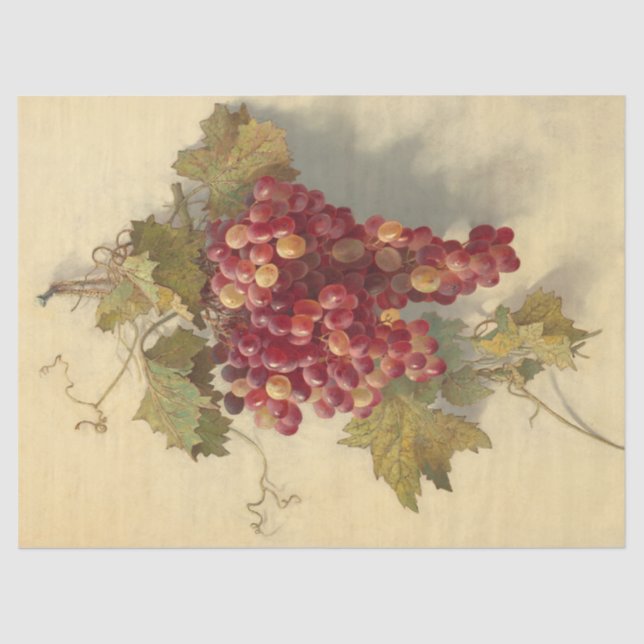Papel De Seda Uvas contra la pared blanca por Edwin Deakin (Anverso)