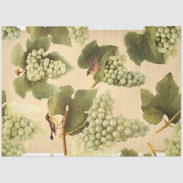 Papel De Seda Uvas verdes con aves (Anverso)