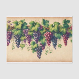 Papel De Seda Uvas y vino en el pergamino