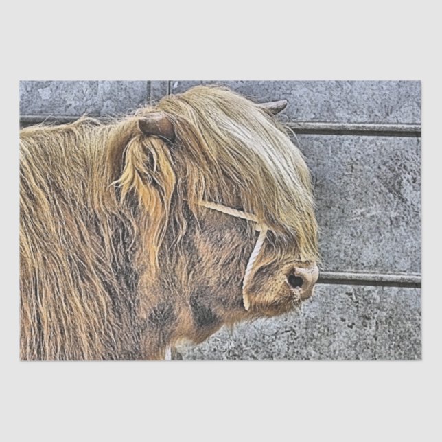 PAPEL DE SEDA VACA (Anverso)