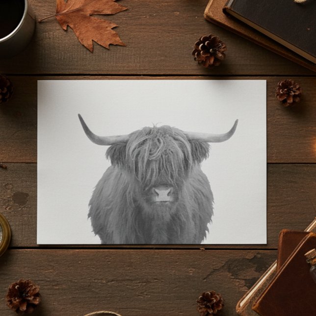 Papel De Seda Vaca Highland Escocia Negro Blanco Rústico  (Subido por el creador)