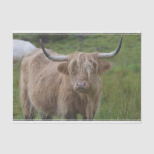 Papel De Seda Vaca rubia lanuda de la montaña