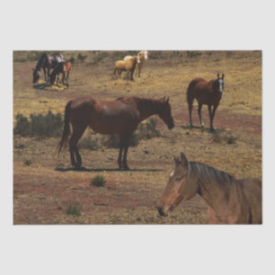 Papel De Seda Valle De Los Caballos,