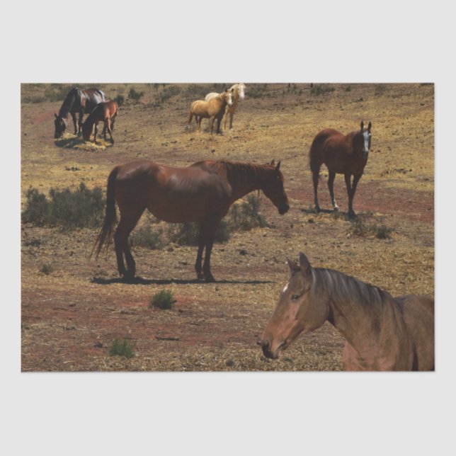 Papel De Seda Valle De Los Caballos, (Anverso)