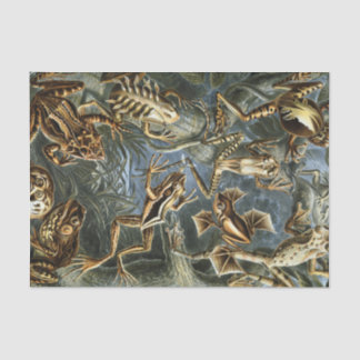 Papel De Seda Variedad de Ernst Haeckel de ranas exóticas: