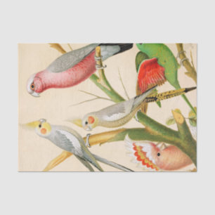 Papel De Seda Varios parásitos, Decoupage