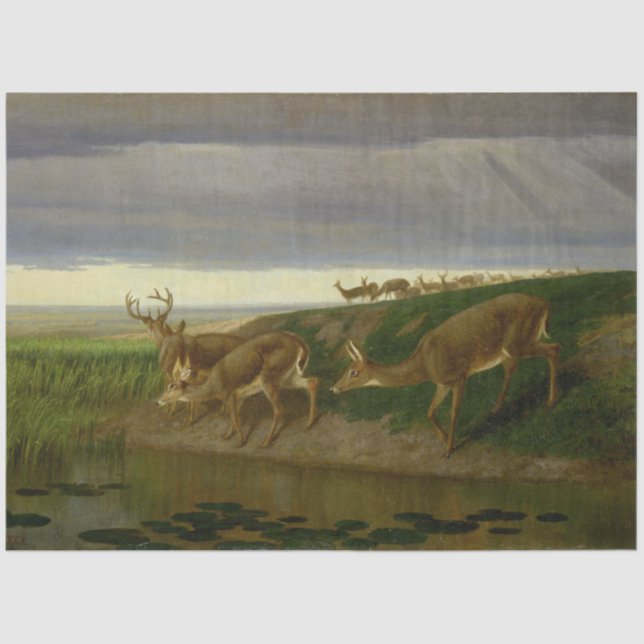 Papel De Seda Venado en la pradera (por William Holbrook Beard) (Anverso)