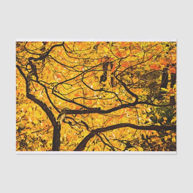 Papel De Seda Venas doradas del otoño (Anverso)