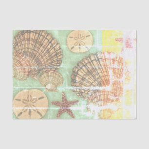 Papel De Seda Vendredi Seashells