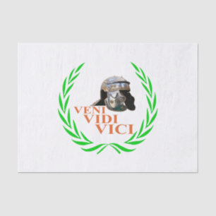 Papel De Seda Veni Vidi Vici