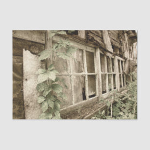 Papel De Seda Ventanas antiguas de madera rústica vintage