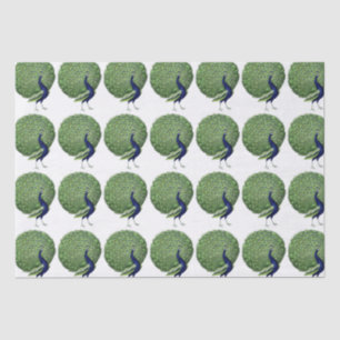 Papel De Seda Ventilador de Peacock Open