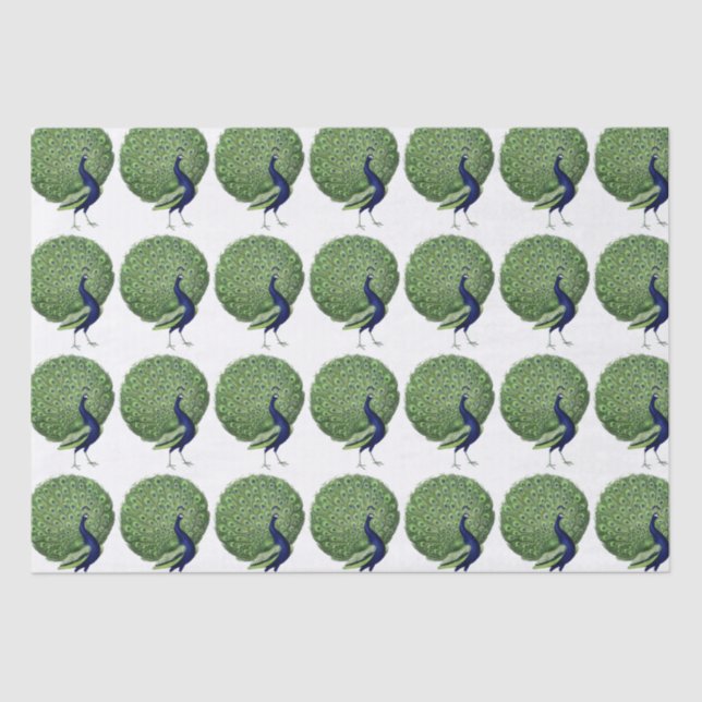 Papel De Seda Ventilador de Peacock Open (Anverso)