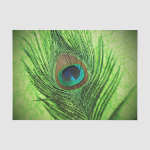 Papel De Seda Verde lima del pavo real
