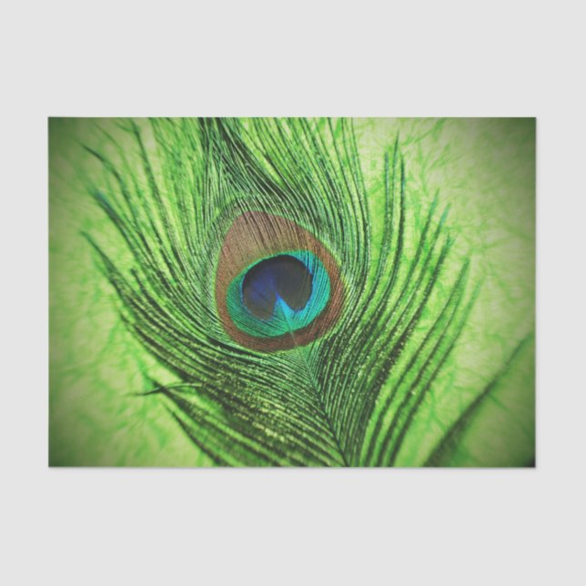 Papel De Seda Verde lima del pavo real (Anverso)