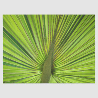 Papel De Seda Verde tropical