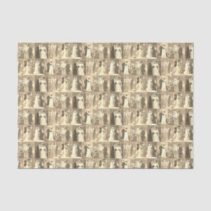 Papel De Seda Vestido de Novia Vintage Novio Clásico Elegante