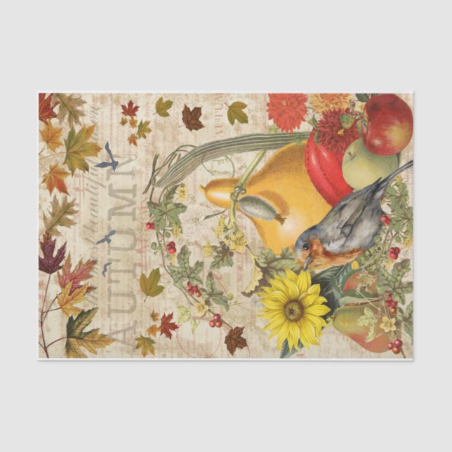 Papel De Seda Vibes de octubre (Anverso)