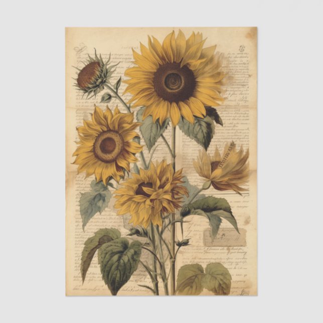 Papel De Seda Vibrant Sunflowers and Vintage Script (Anverso)