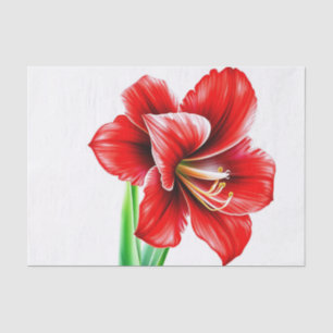 Papel De Seda Vibrante Red Amaryllis en acuarela