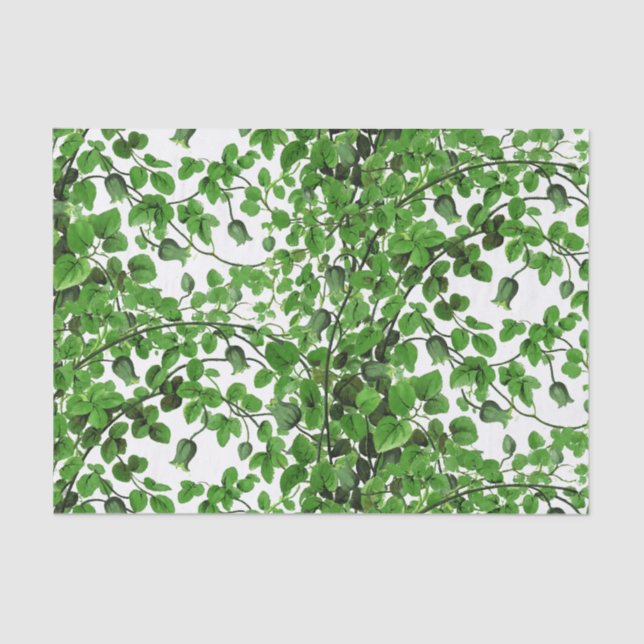 Papel De Seda Vid verde de la hiedra botánica (Anverso)