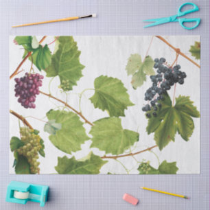 Papel De Seda Viñedo de uvas Isla Griega Mediterránea