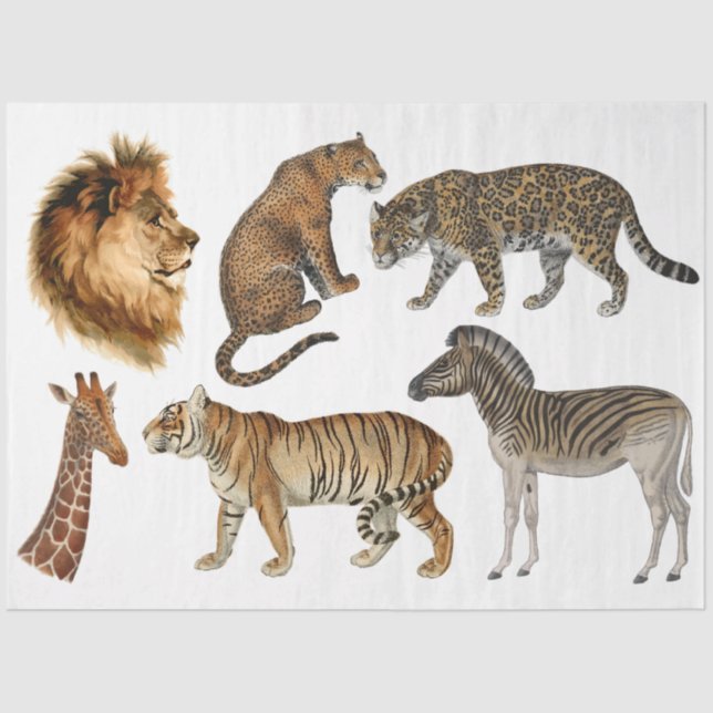 Papel De Seda Viñeta África Wild Animals Lion Leopard Decoupage (Anverso)