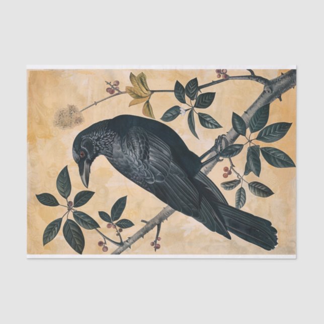Papel De Seda Vintage American Crow Ilustracion Decoupage (Anverso)