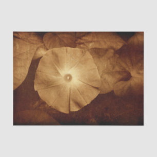 Papel De Seda Vintage Antigua Sepia Floral Enredadera