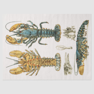 Papel De Seda Vintage Blue Shell Lobster Watercolor