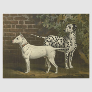 Papel De Seda Vintage Bull Terrier y Dalmatian