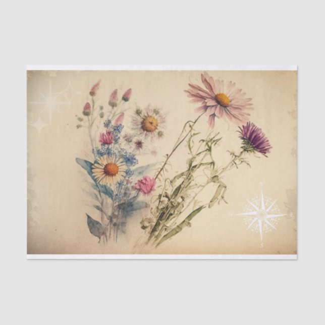 Papel De Seda Vintage Compass WIldflower Decoupage (Anverso)