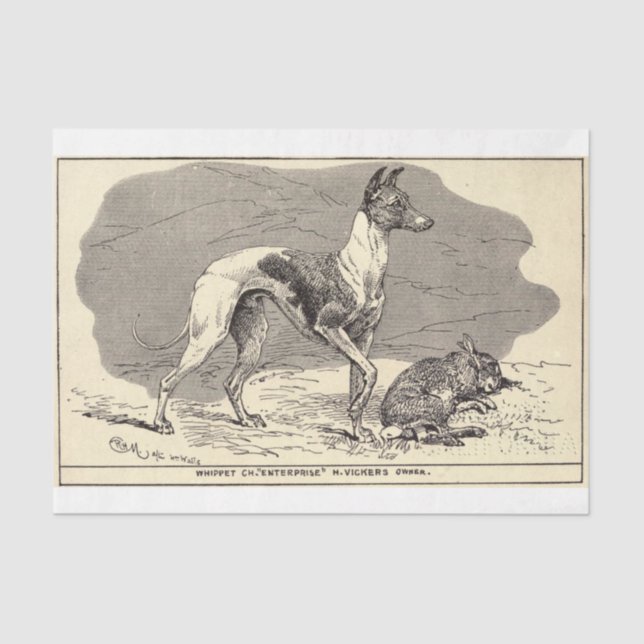 Papel De Seda Vintage Dog Ephemera Decoupage Whippet (Anverso)