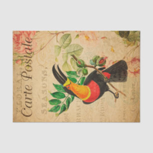 Papel De Seda Vintage Exótico Tropical Toucan Bird Floral Francé