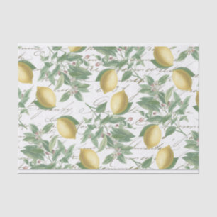 Papel De Seda Vintage Faded Lemon Branch Fruto de escritura fran