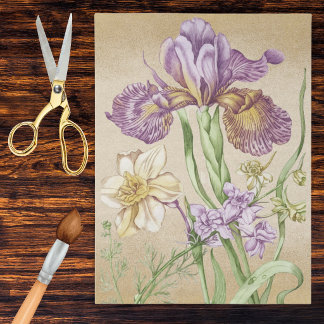 Papel De Seda Vintage Iris Botanical Drawing in Purple and Gold
