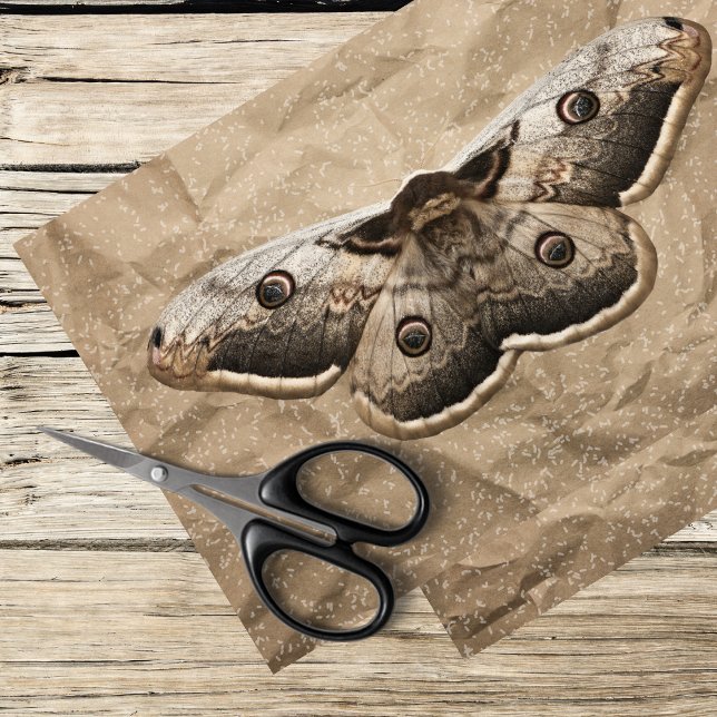 Papel De Seda Vintage moth (Subido por el creador)