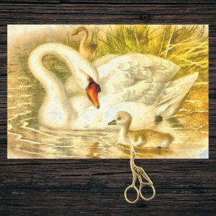 Papel De Seda Vintage Mother Swan Baby Cygnet Watercolor