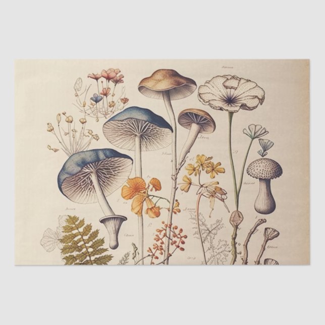 Papel De Seda Vintage Mushroom Naturalist (Anverso)