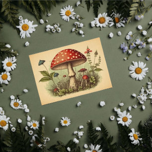 Papel De Seda Vintage Mushroom Red Toadstool Decoupage Cottage