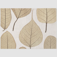 Vintage Naturalist Botanic Drawing | Saltos 1858